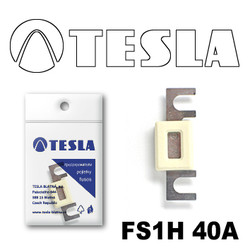 FS1H40A Tesla