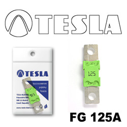 FG125A Tesla