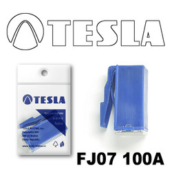 FJ07100A Tesla