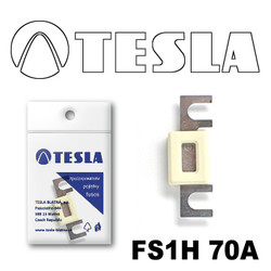 FS1H70A Tesla