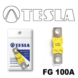 FG100A Tesla