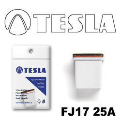 FJ1725A Tesla
